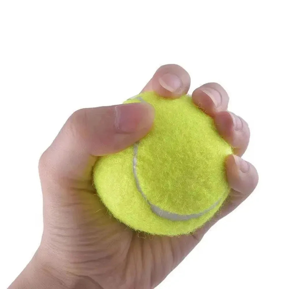 6Pcs Tennis Balls with Mesh Carry Bag – Practice & Play