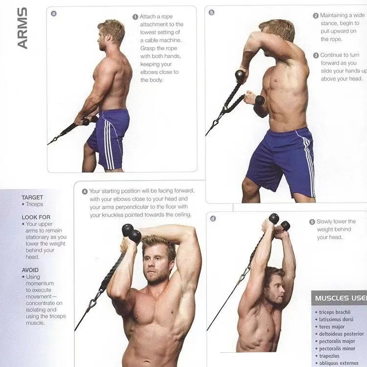 Triceps Rope Pull Down Cable